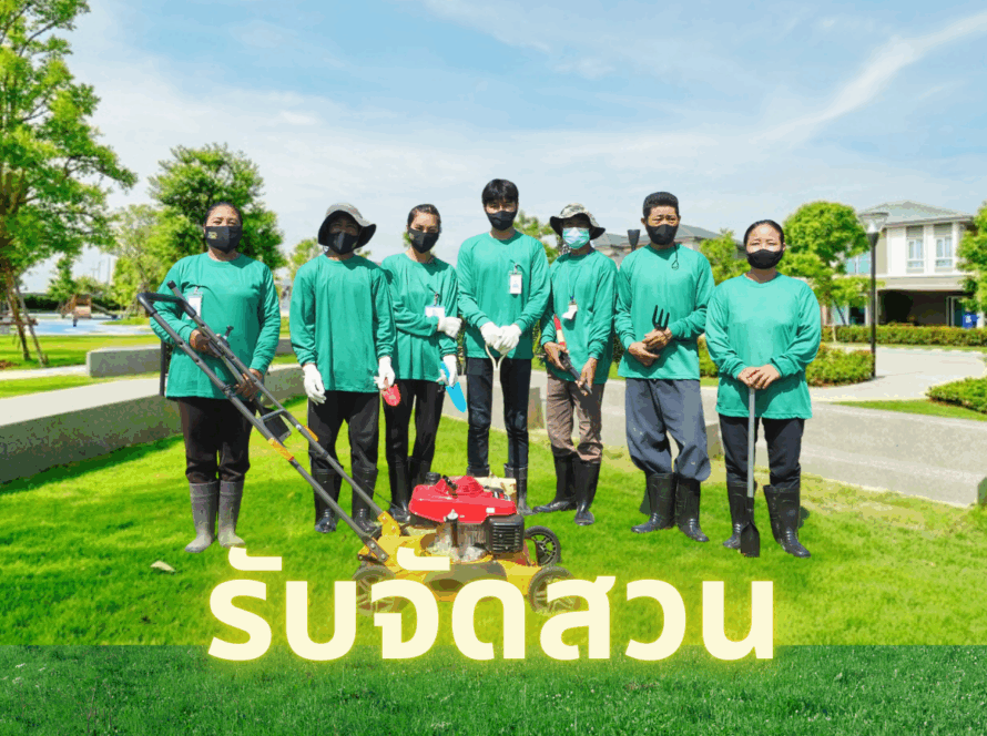 รับจัดสวน
