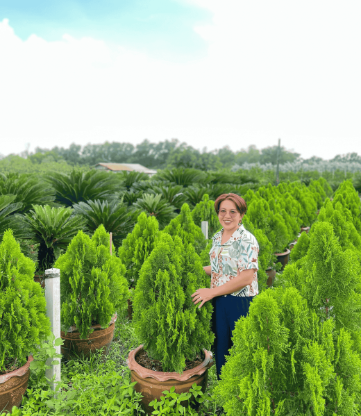 เคซี การ์เด้น